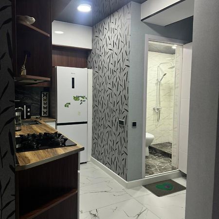 New Apartments In Боржоми Екстериор снимка